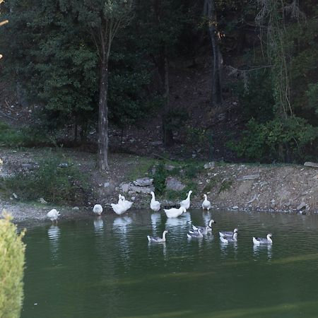 Tenuta La Bandita Sassetta Zewnętrze zdjęcie