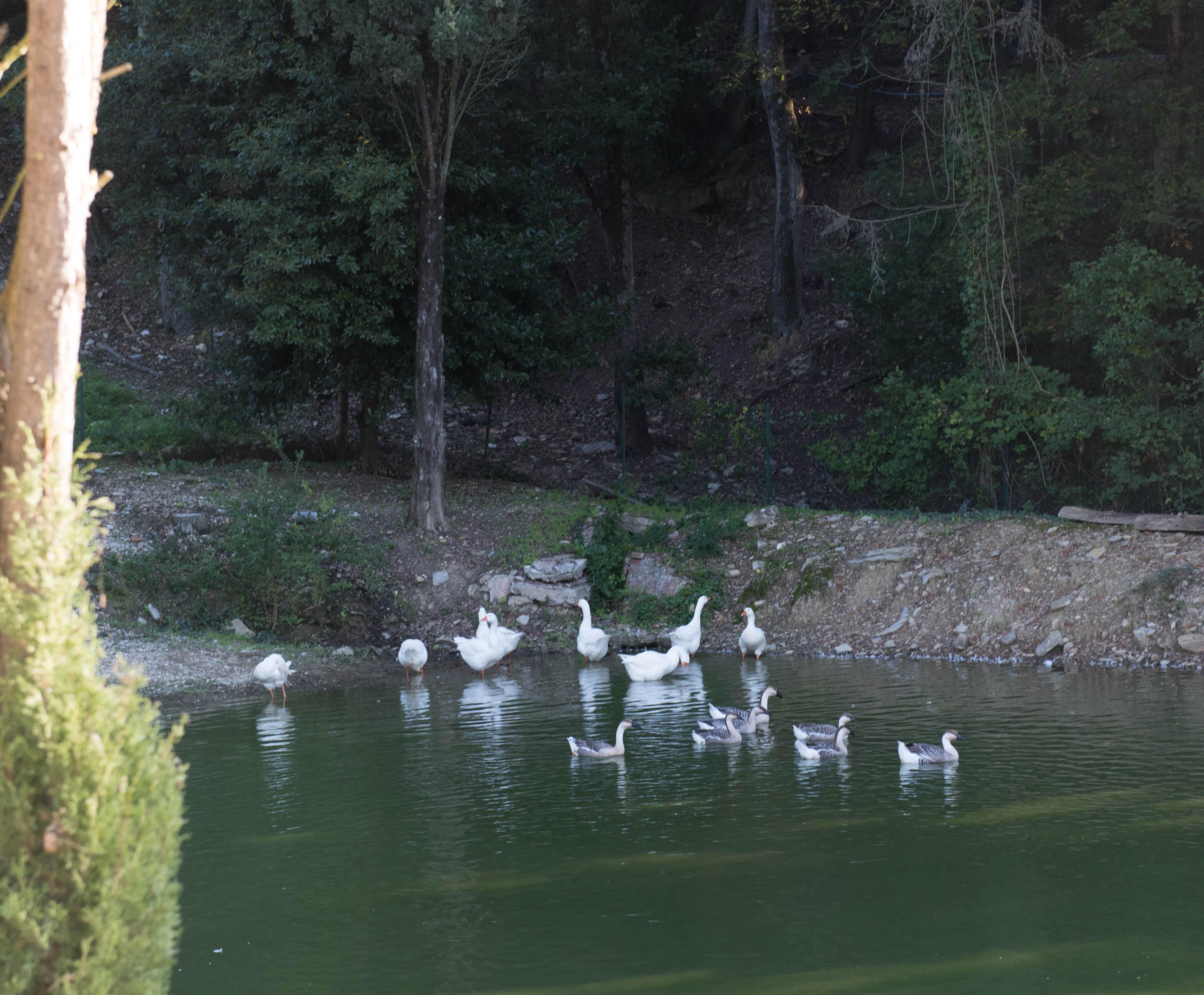 Tenuta La Bandita Sassetta Zewnętrze zdjęcie