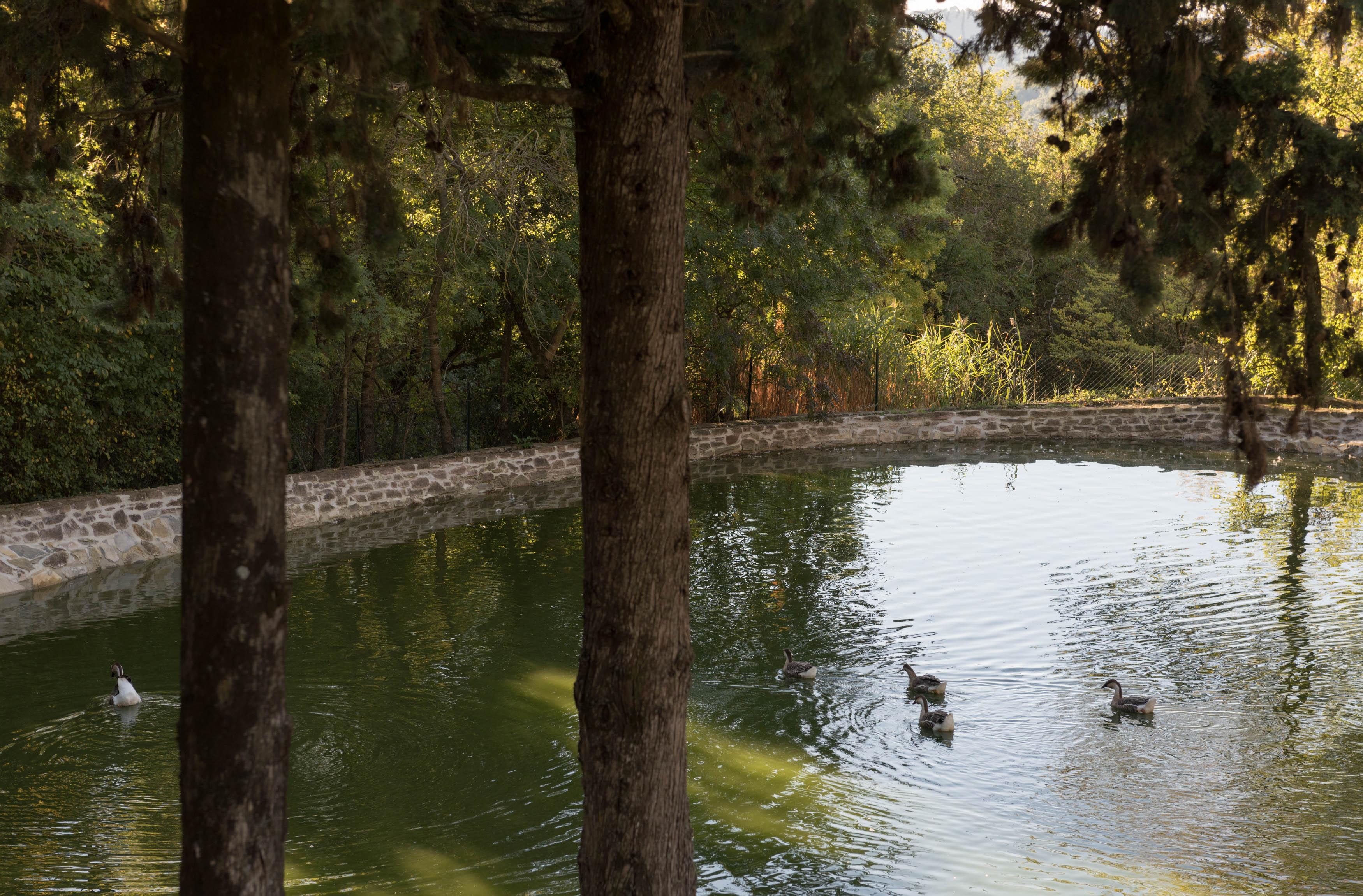 Tenuta La Bandita Sassetta Zewnętrze zdjęcie