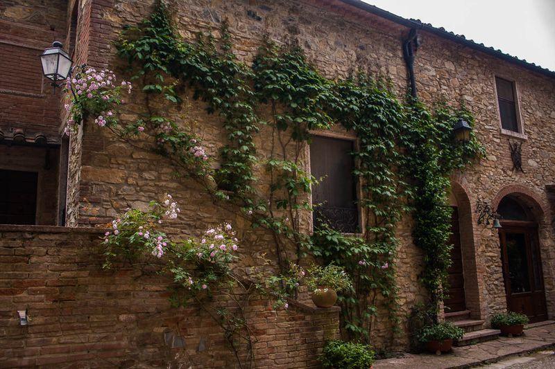 Tenuta La Bandita Sassetta Zewnętrze zdjęcie